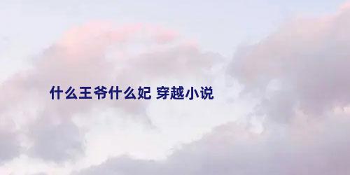 什么王爷什么妃 穿越小说